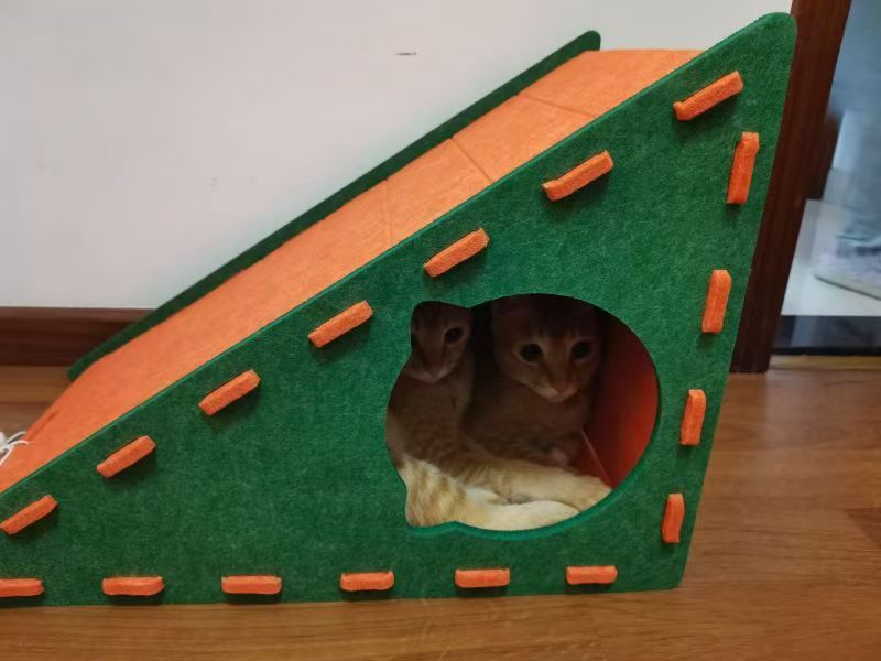 16c2010e-bb25-4d4e-8dd2-f95a79e509b8.jpe