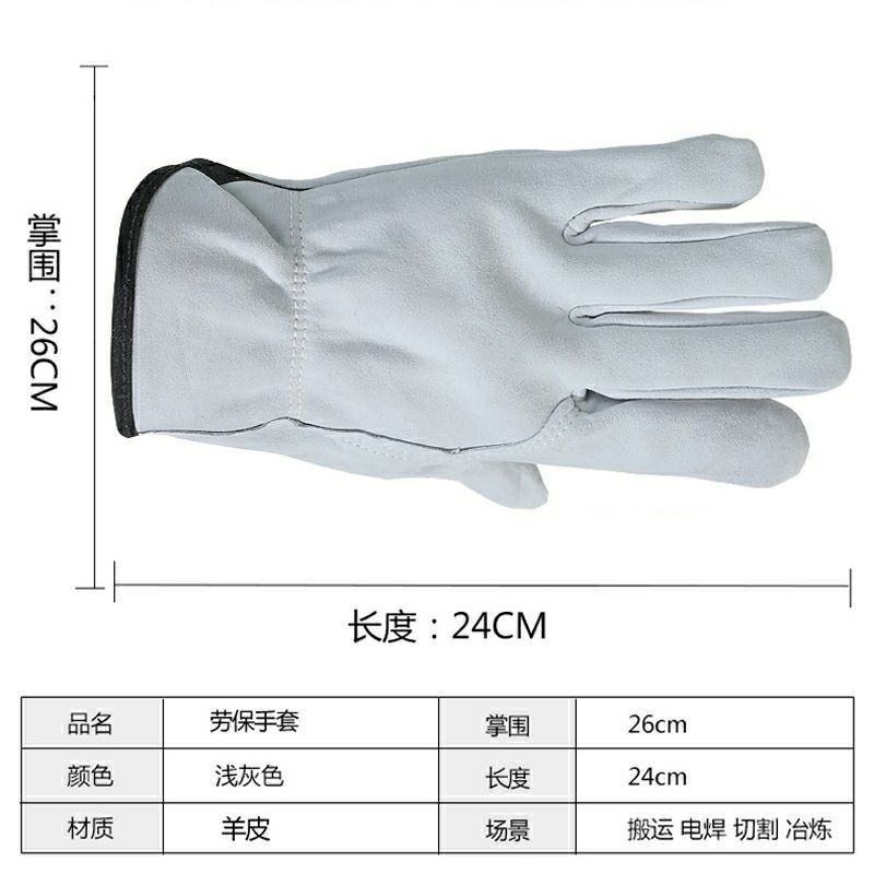 QQ图片20240618141946