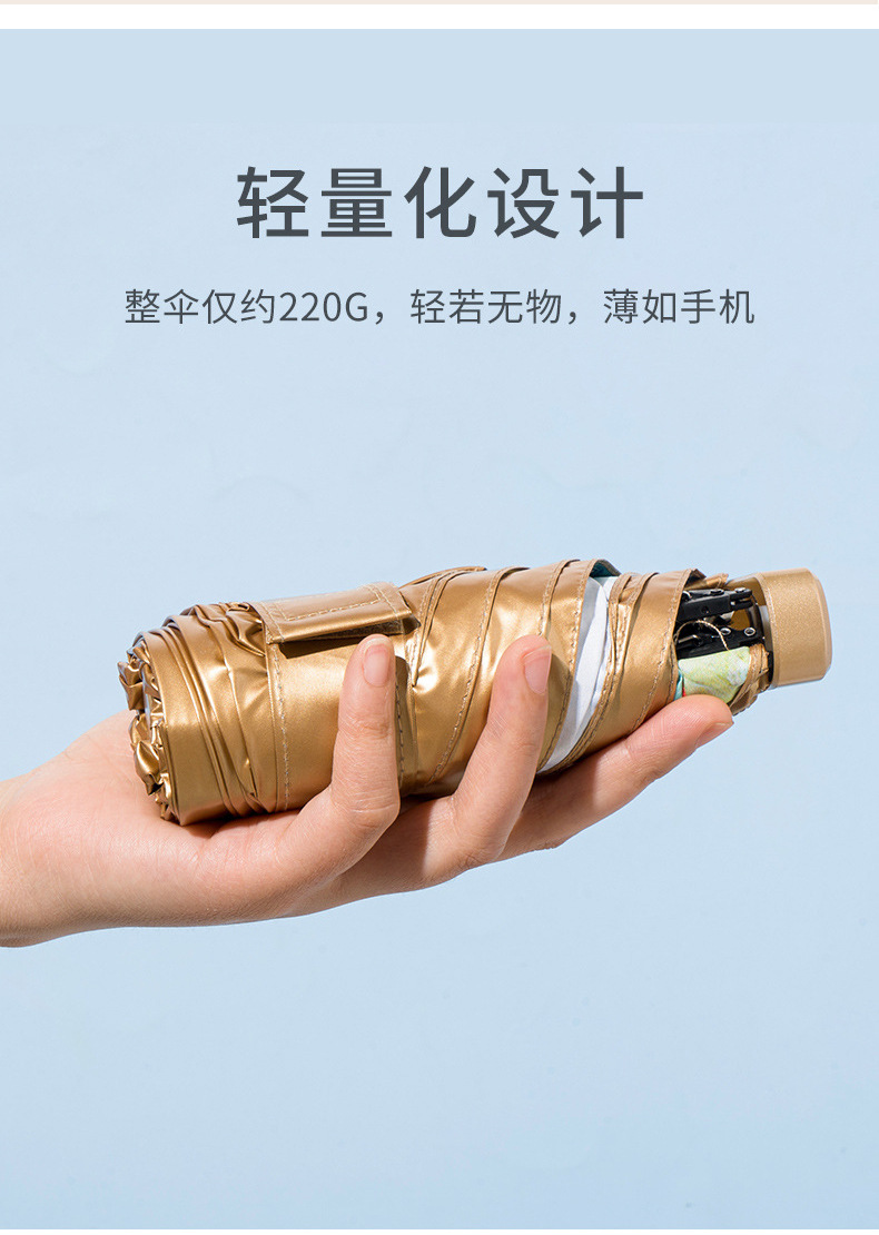 小金伞详情_03.jpg