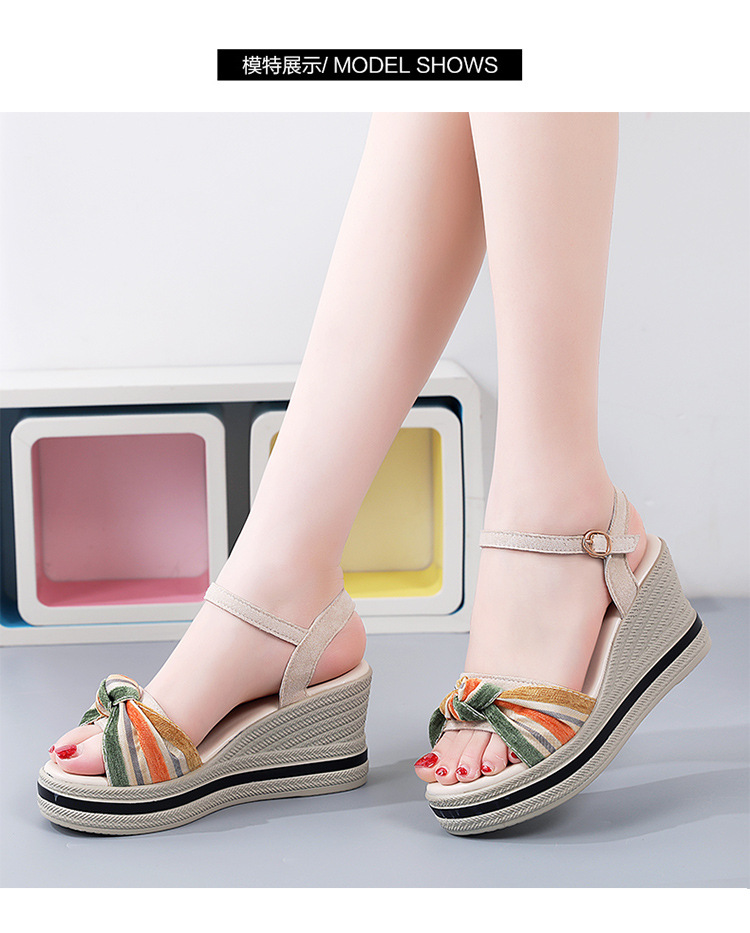 详情_11.jpg?x-oss-process=image/format,png