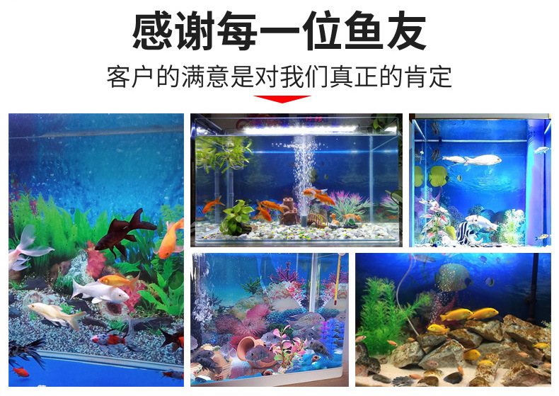 鱼缸壁画_新详情_00