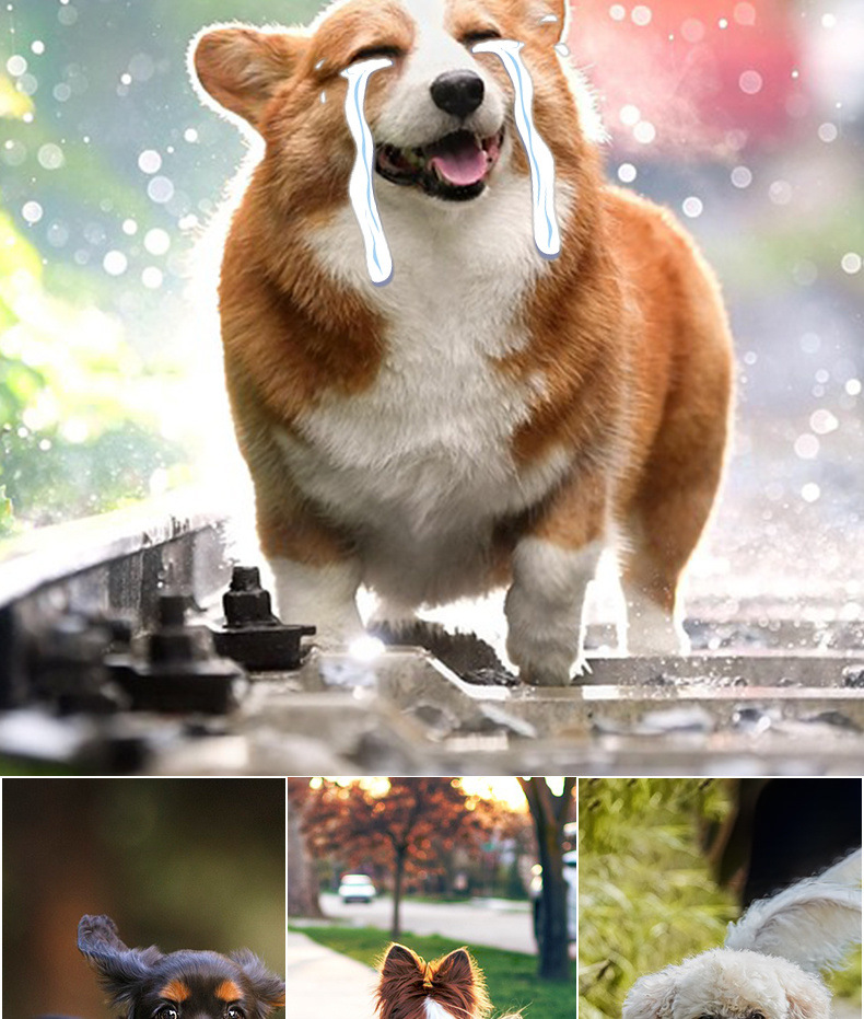 7c601305-d732-4638-9a9c-a7f9f865fc46.jpe