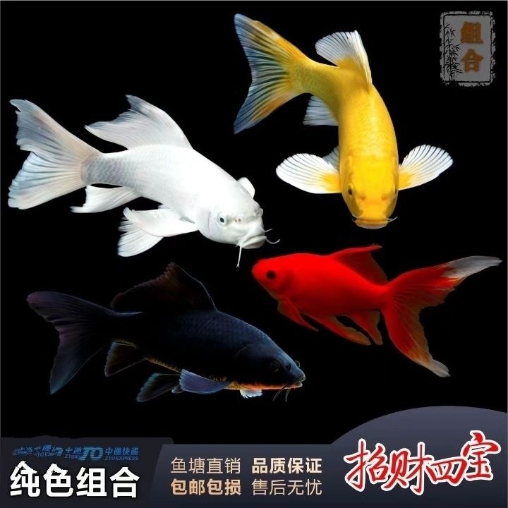 ab2da394-47aa-44e2-86f9-1f8a469a8b6e.jpe