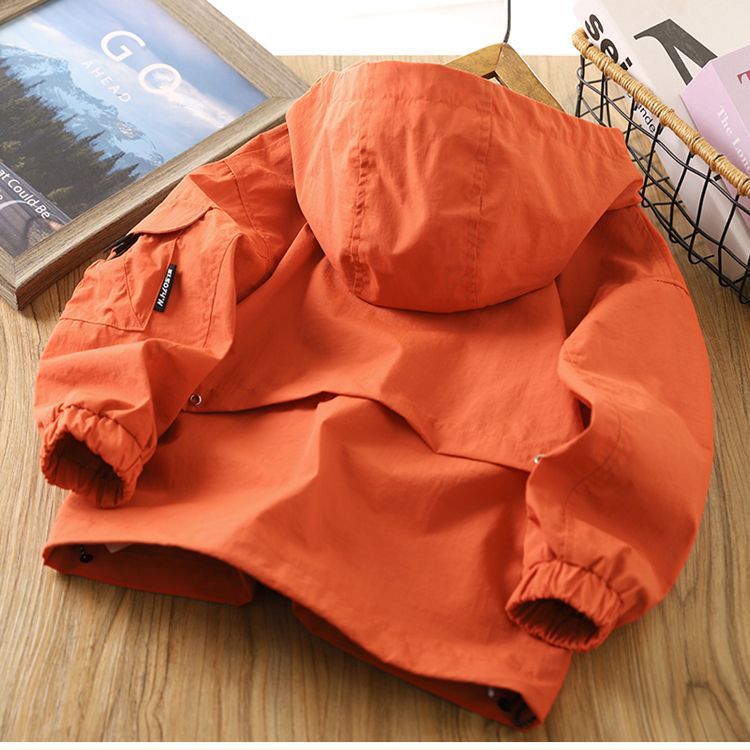 9052933e-b0b6-4d25-a5d4-a8edd3c93218.jpe