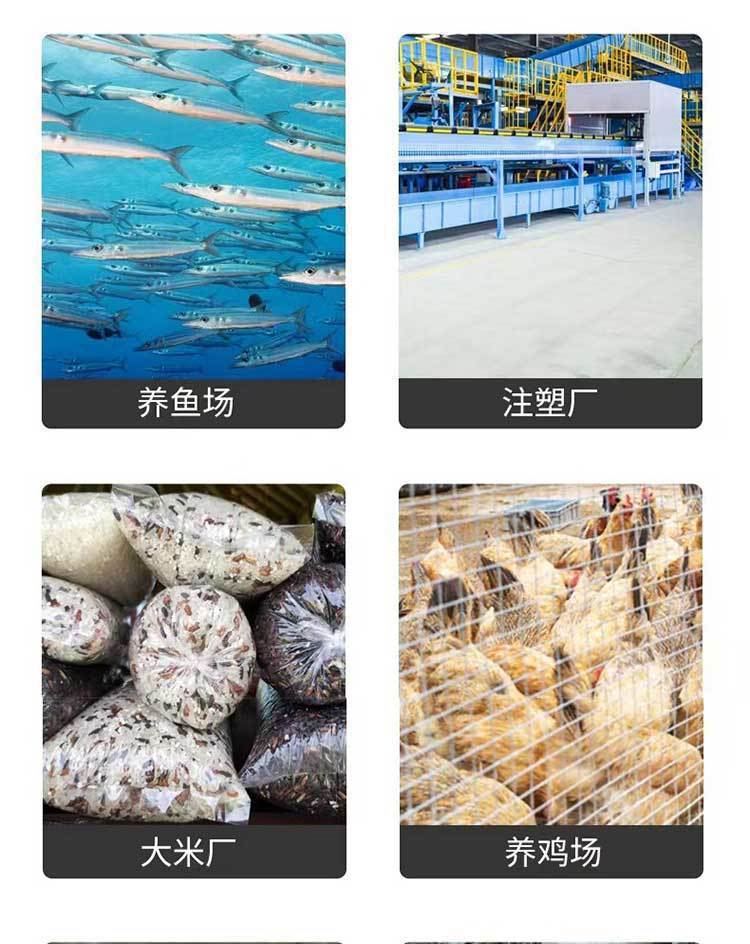 b9b19033-bbfa-4624-bc51-b50c722a3db1.jpe