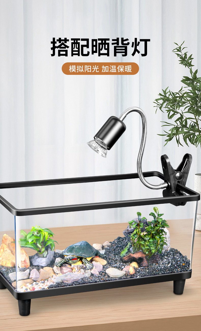 094452ce-2d21-48da-9a4e-244f088212f1.jpe