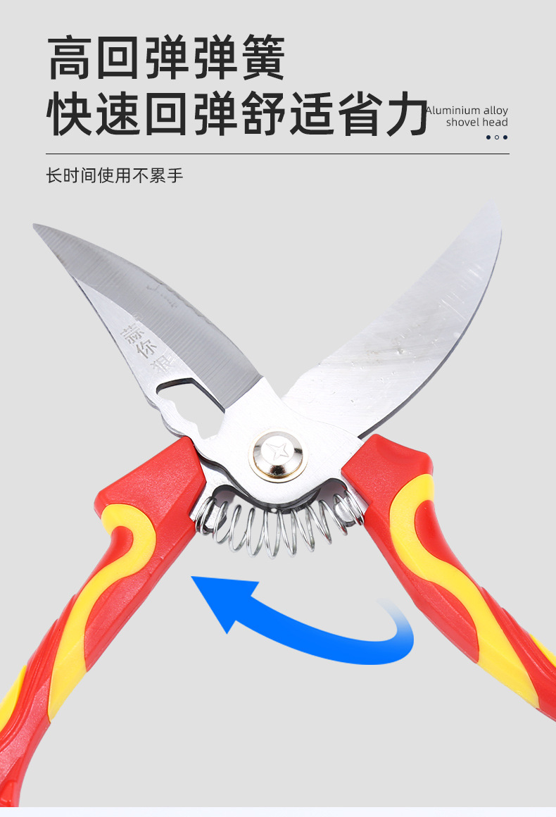 3-大蒜剪刀_09.jpg
