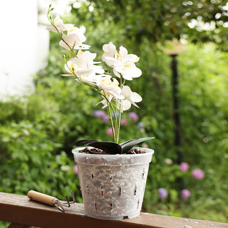 O1CN01VQH1I01vh1cv6124u_!!2212