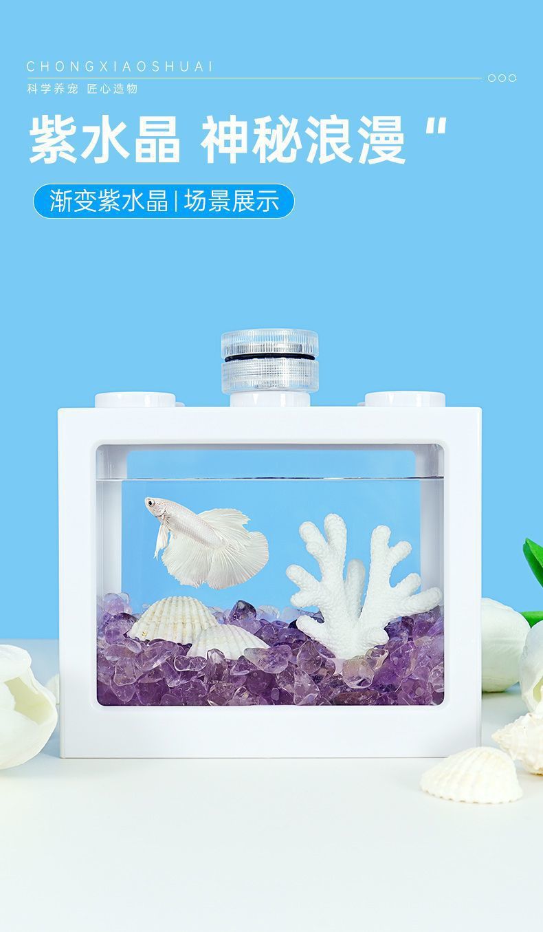 b41e8075-5fe9-468f-b3ae-35e6e10fcb01.jpe