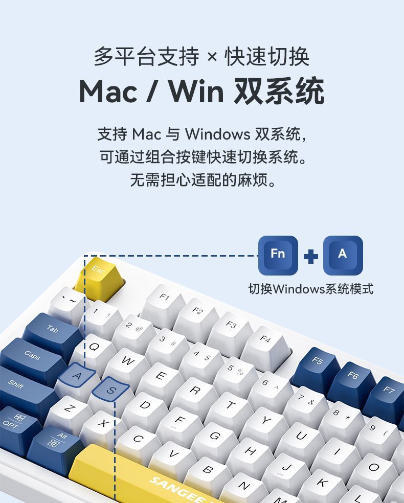 aae01046-4e3a-44d1-8379-9fb5f7e162b2.jpe