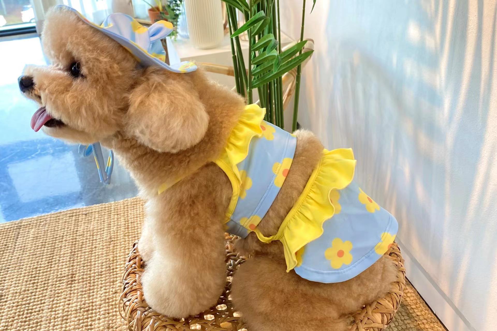 微信图片_20220512103206