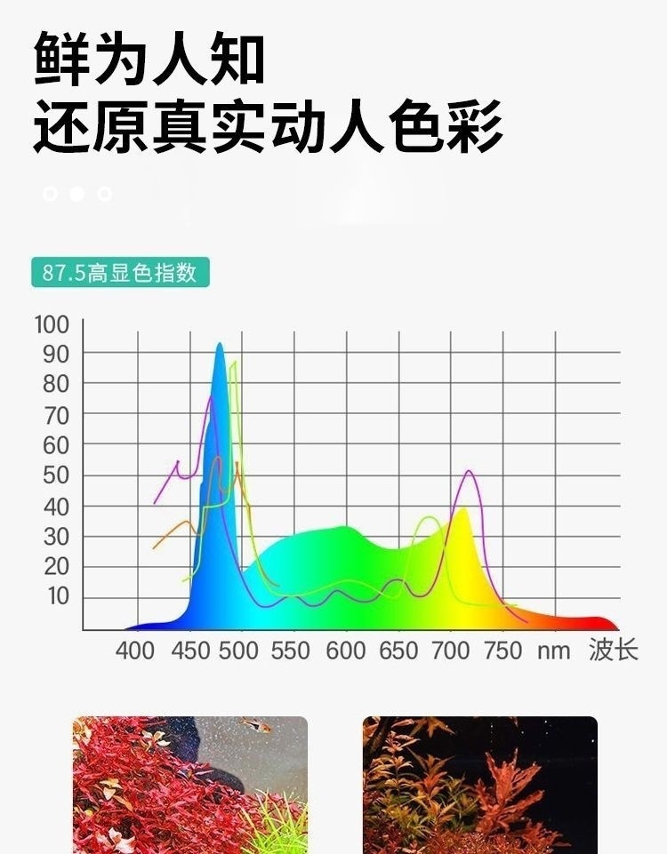 5d395138-ec62-4dde-93f4-d96b63184c19.jpe