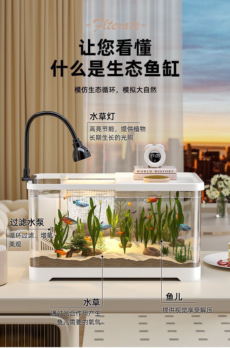 4a1e2a41-129c-402f-bd63-eb0b105a2724.jpe