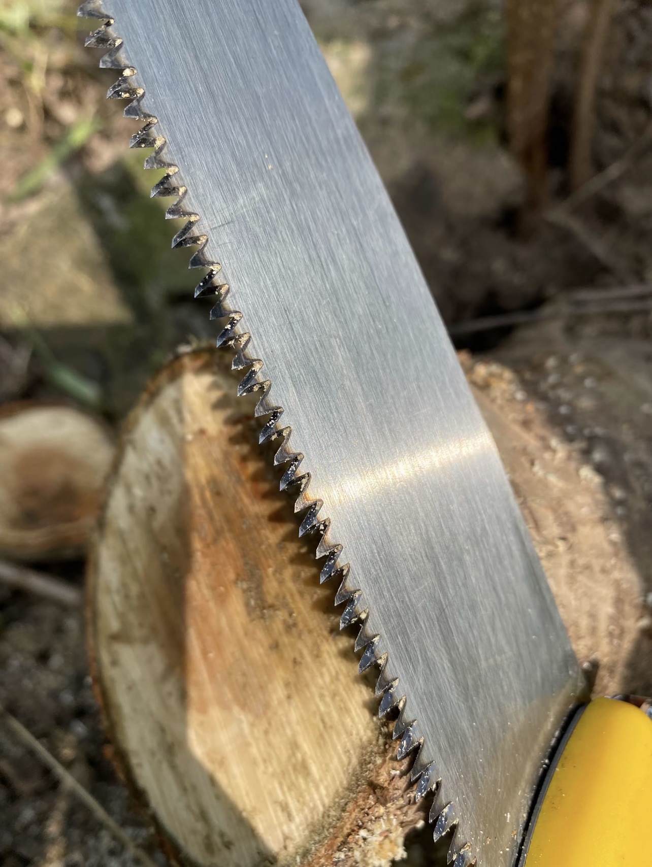 f90ec8a36272e9e8387a129eca8ad8