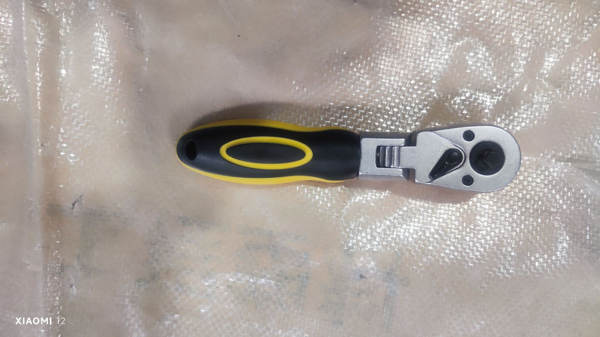 微信图片_20240222124254