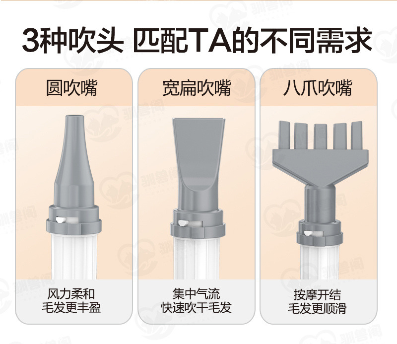 b5dfa8f8-b8f0-4b50-8be8-16f6da771d08.jpe