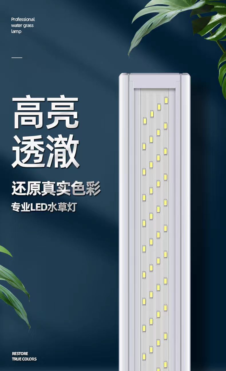 181820be-4936-4c8d-a8e1-6ff561e26221.jpe