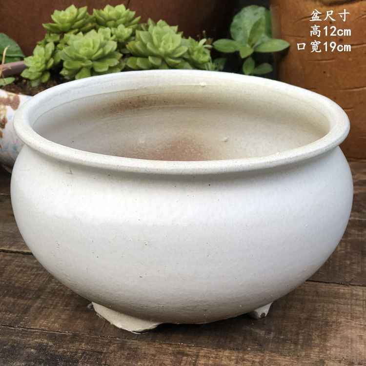 6f8ebe0a-b0c5-49d3-b109-ed5db8c2a53f.jpe