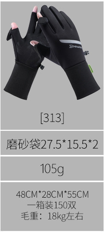 313.jpg