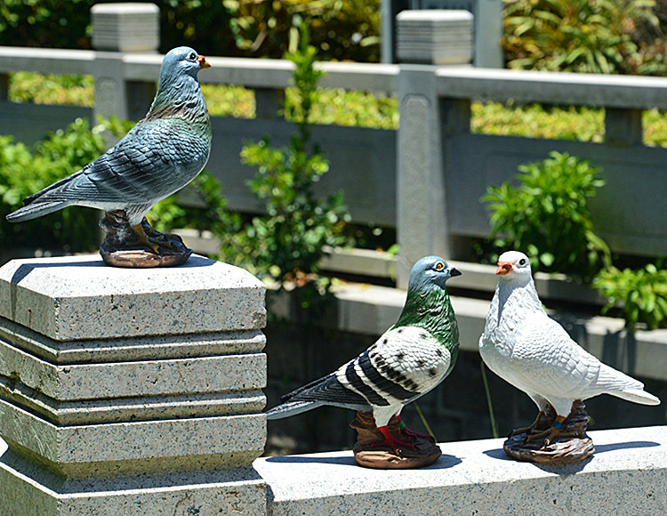 DSC_0025_副本.jpg