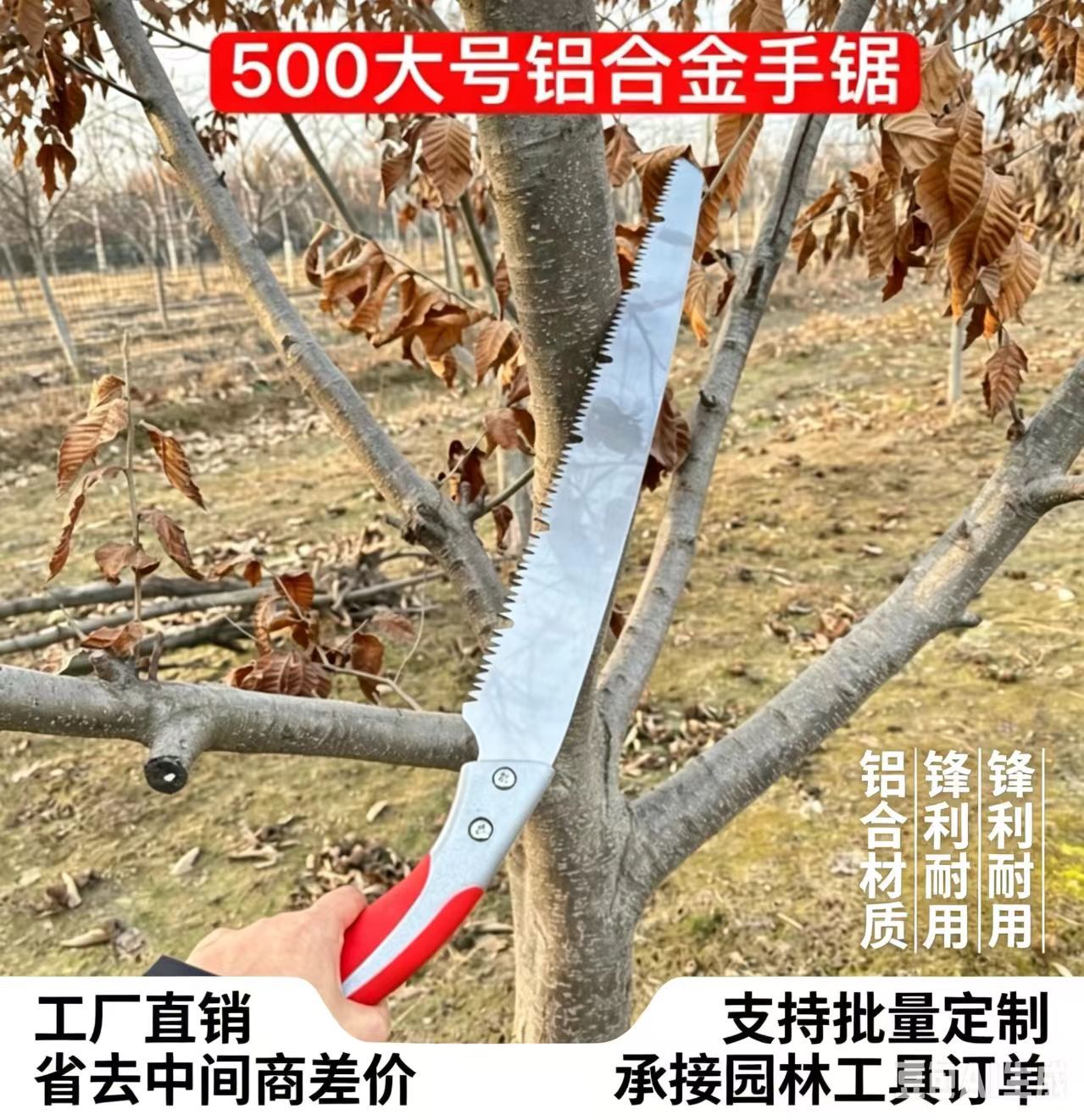 微信图片_20260424114350_252_92