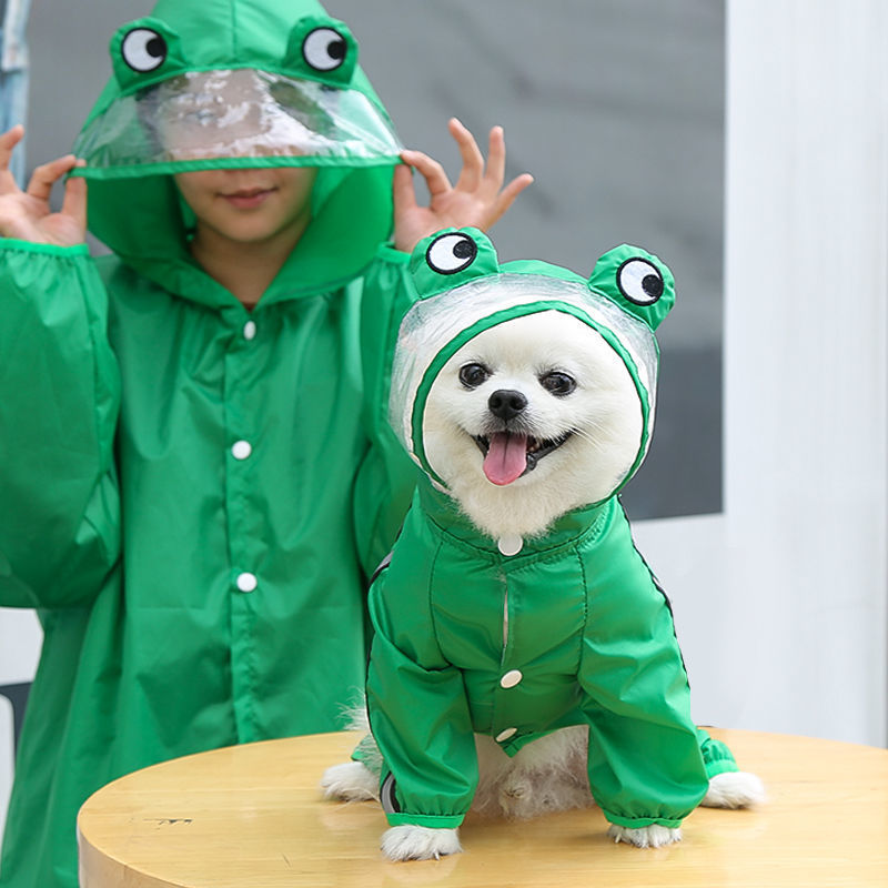 53879813-080f-43f1-a5c3-8473f5744c50.jpe