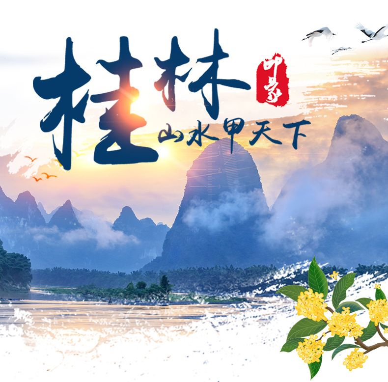 丝瓜抹布_02.jpg