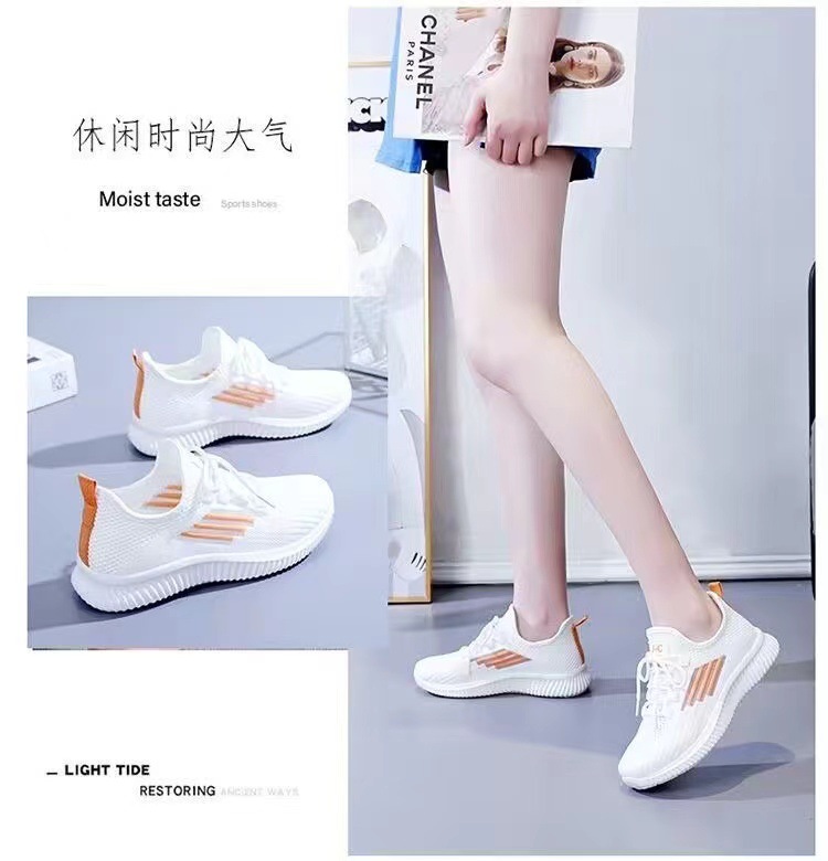 微信图片_202405171432163.jpg