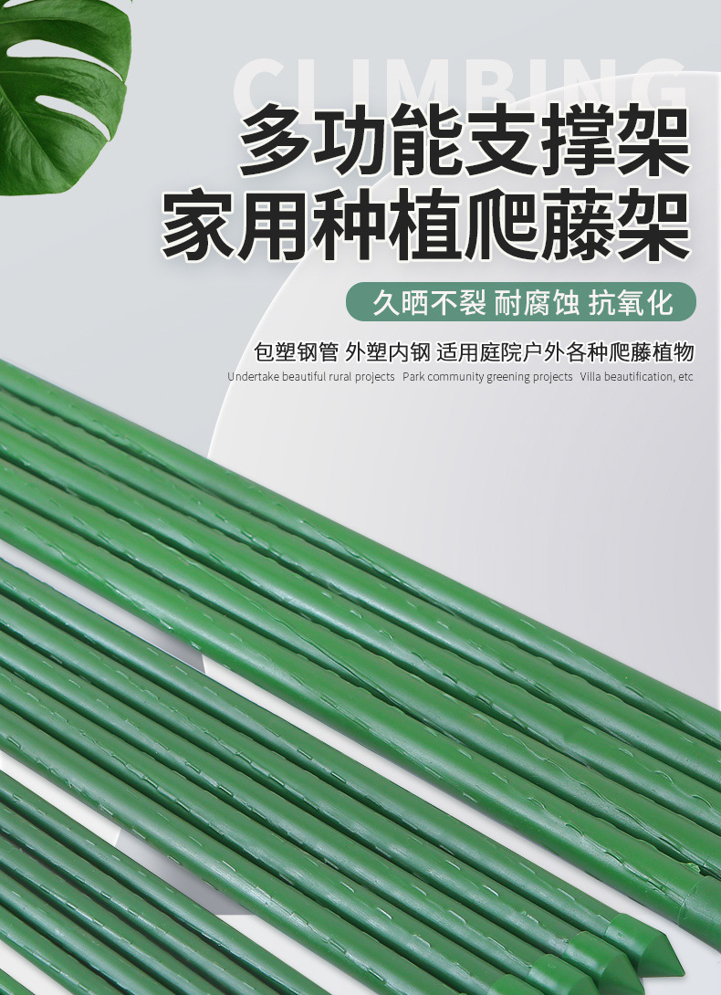 ae75d4fb-0ca4-4426-b0d0-9b4649a4a1e1.jpe