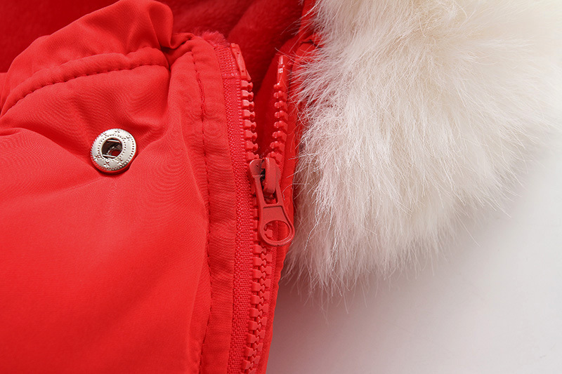 8无水印IMG_2018 副本.jpg