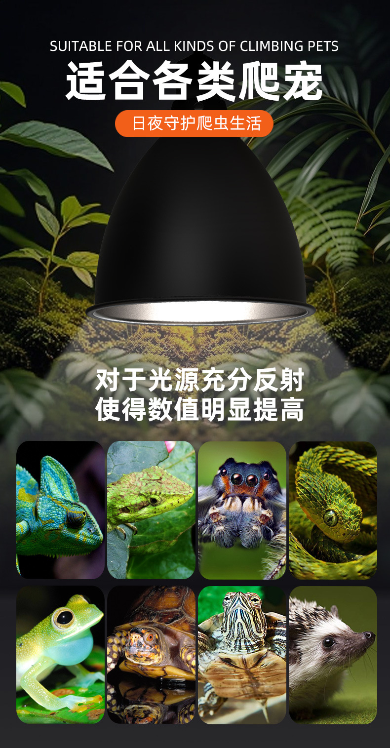 NJ-01-NJ-07带定时-普通开关_04