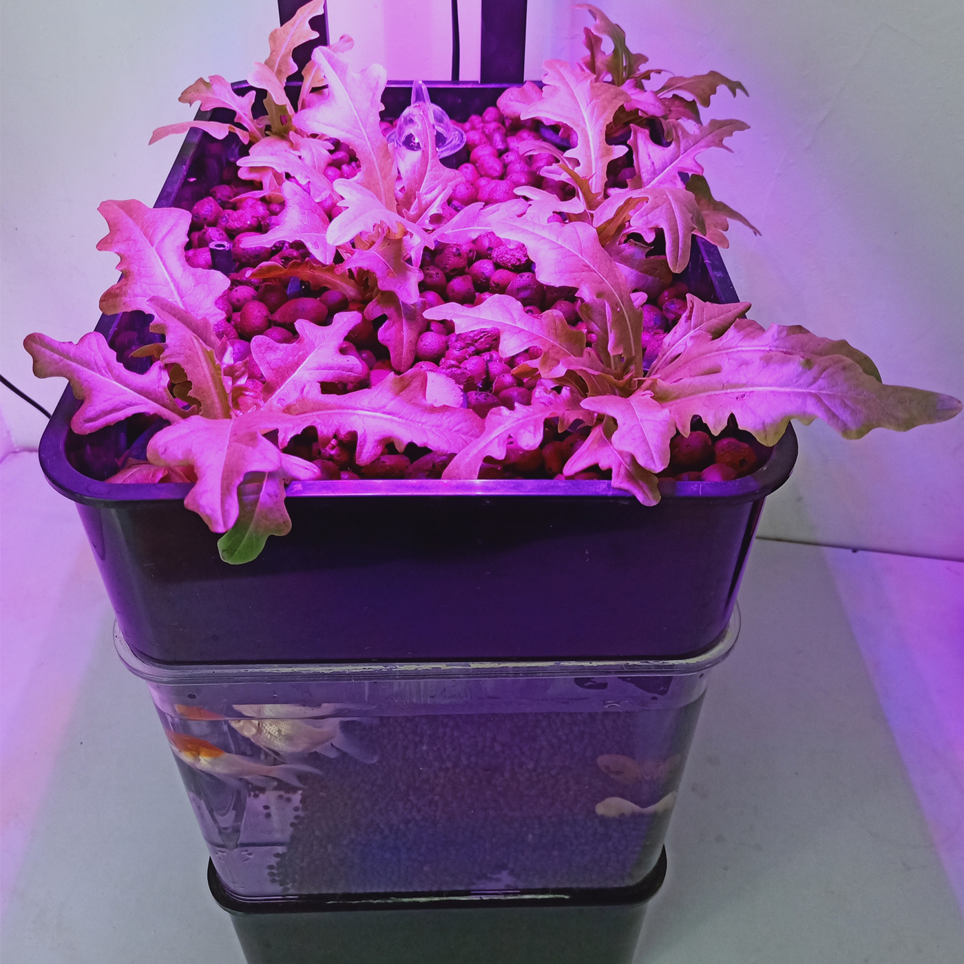 微信图片_20191128124713_副本