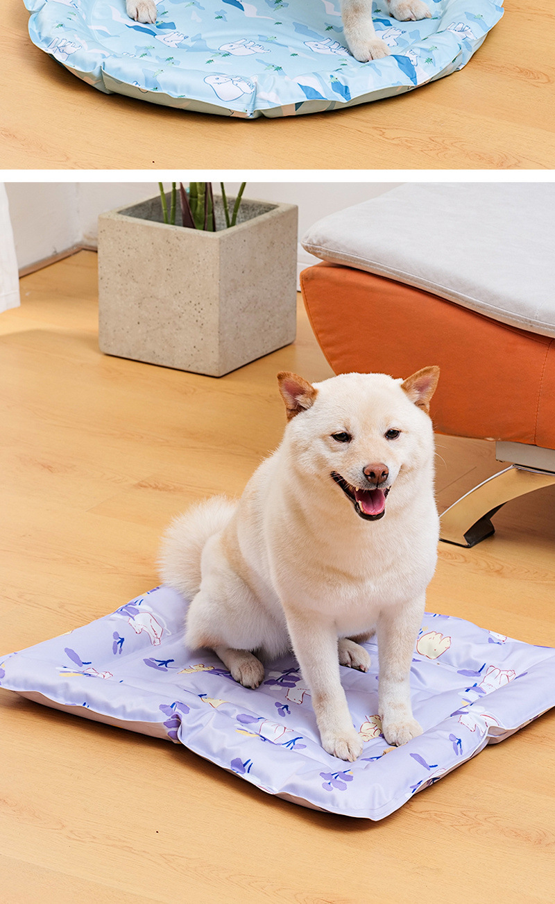 75d9282b-af2e-4832-ac3b-00d6a9fcd645.jpe