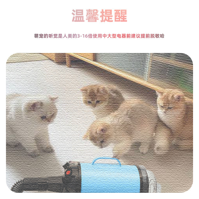 2a486a41-e22b-4269-b5fb-6947462978b4.jpe