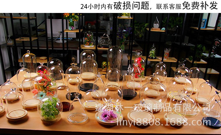 4339095089_920350397