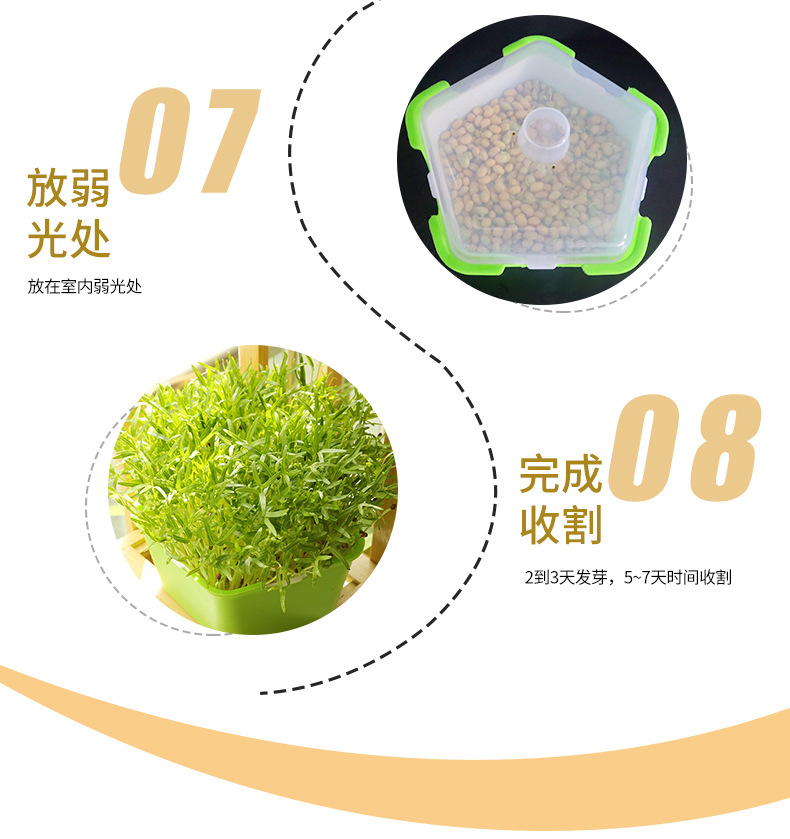 豆芽详情页_09.jpg?x-oss-process=image/format,png