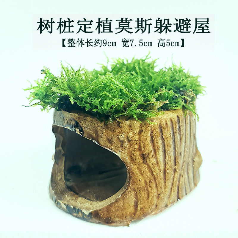 b3217e88-8b94-4e6b-85fa-68f1ec865be4.jpe