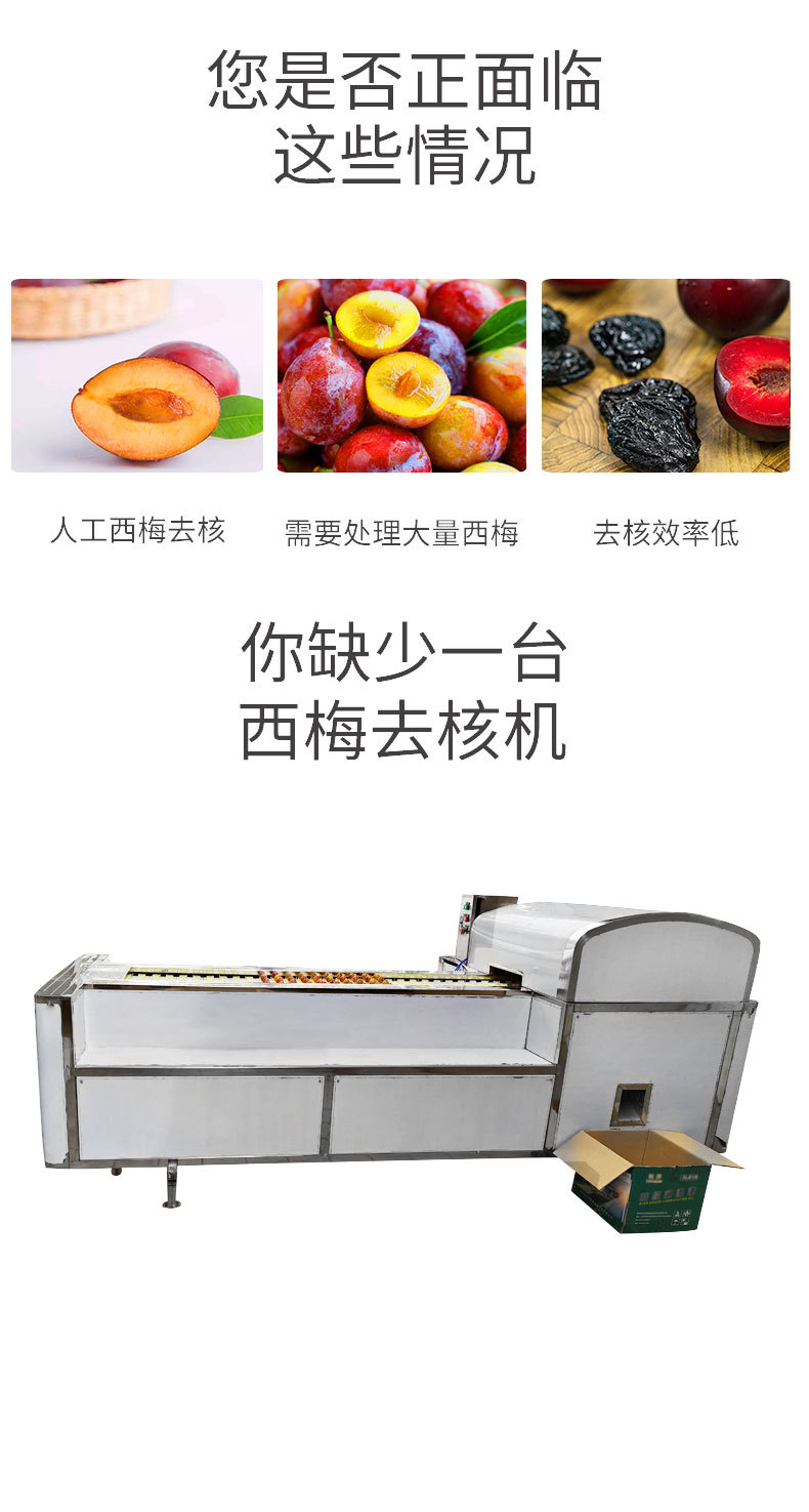 西梅去核机详情_03