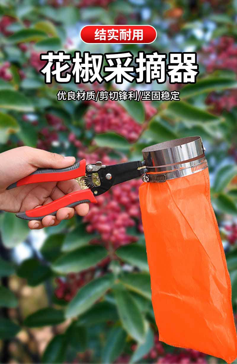 未标题-1_01.jpg