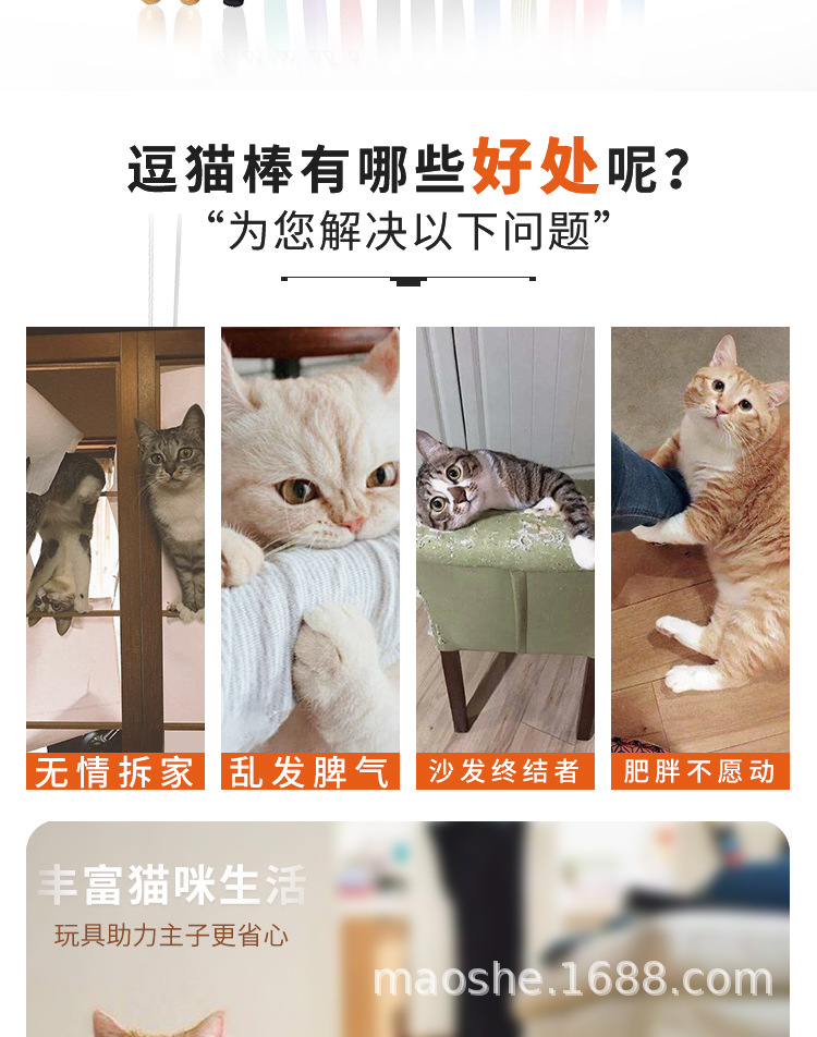 详情_02.jpg