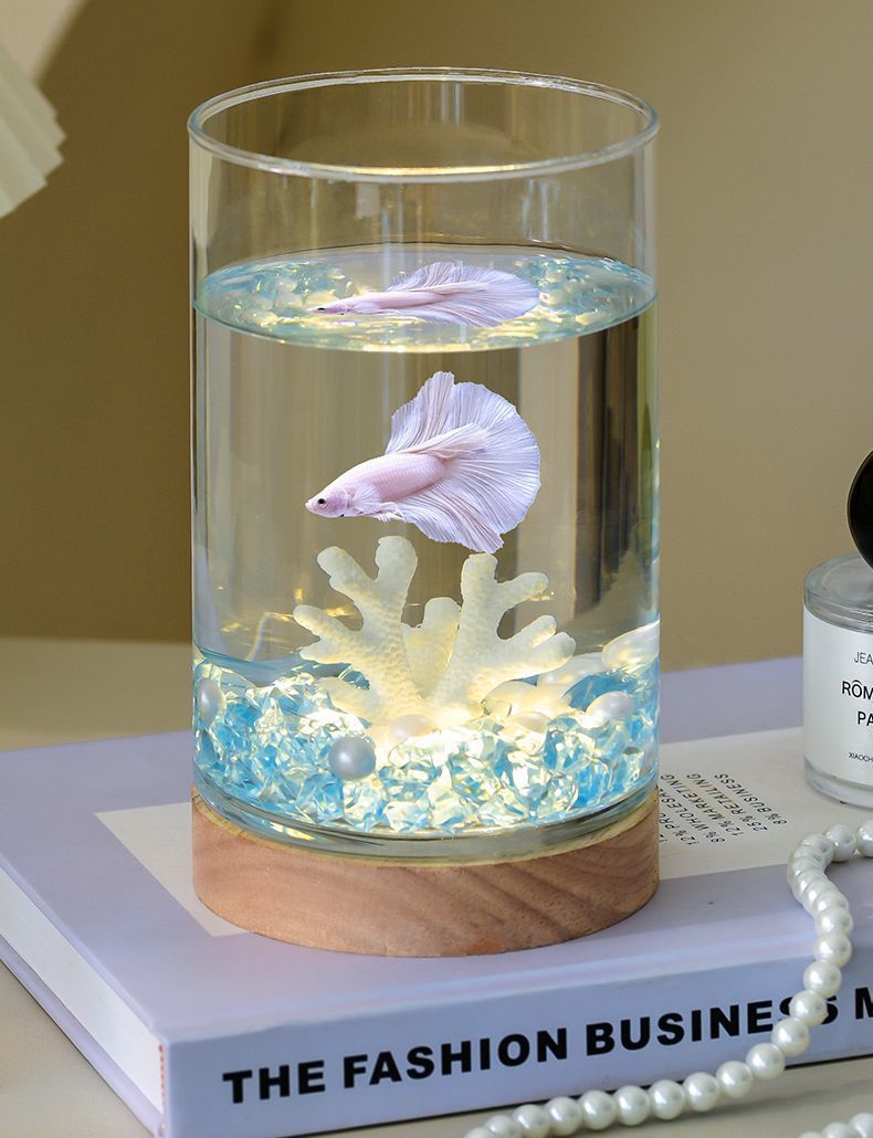 8c176666-8f99-4e9d-aa12-b6da1b9549fc.jpe