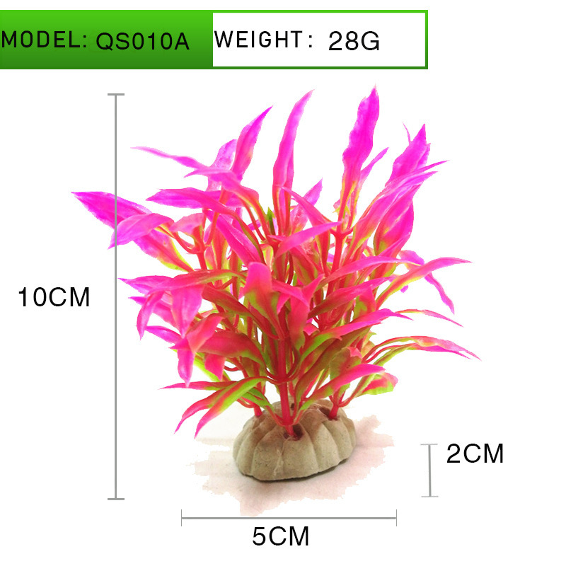 21998241277_1798148263