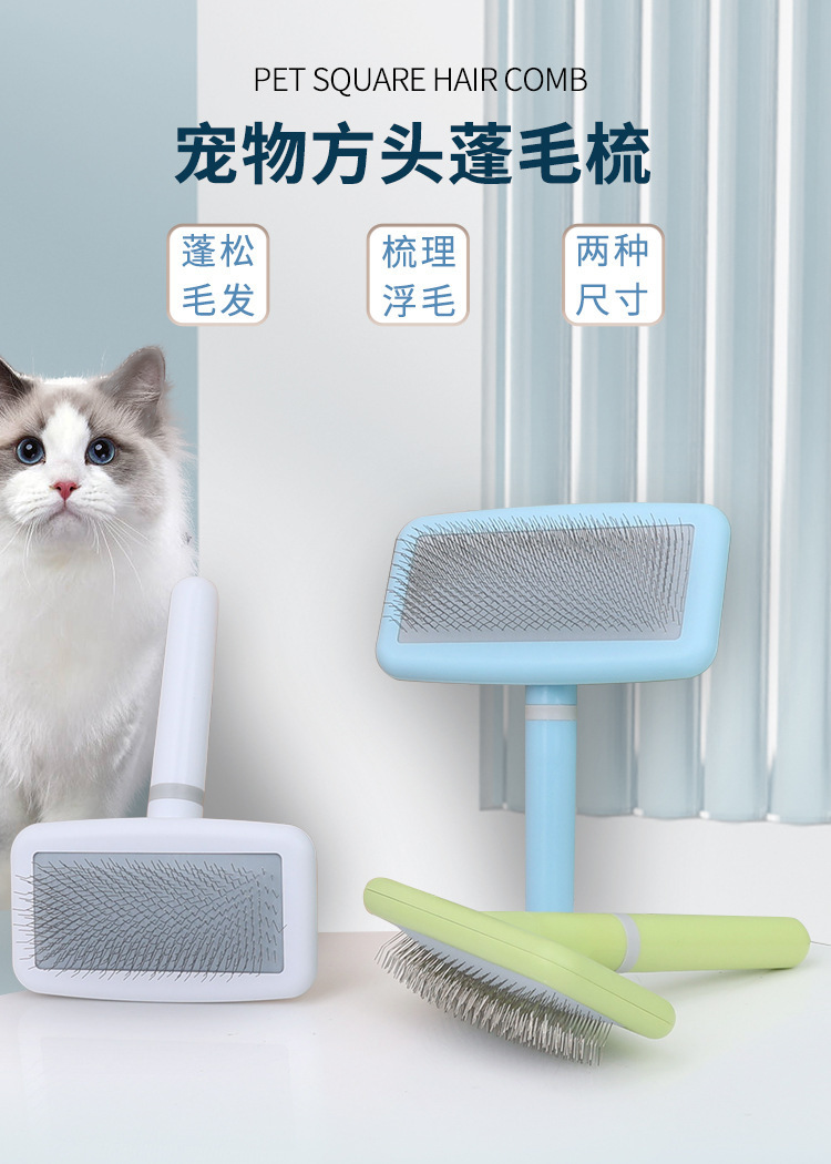 fa1883e8-3e48-4559-b46a-ec5c268bb3d9.jpe