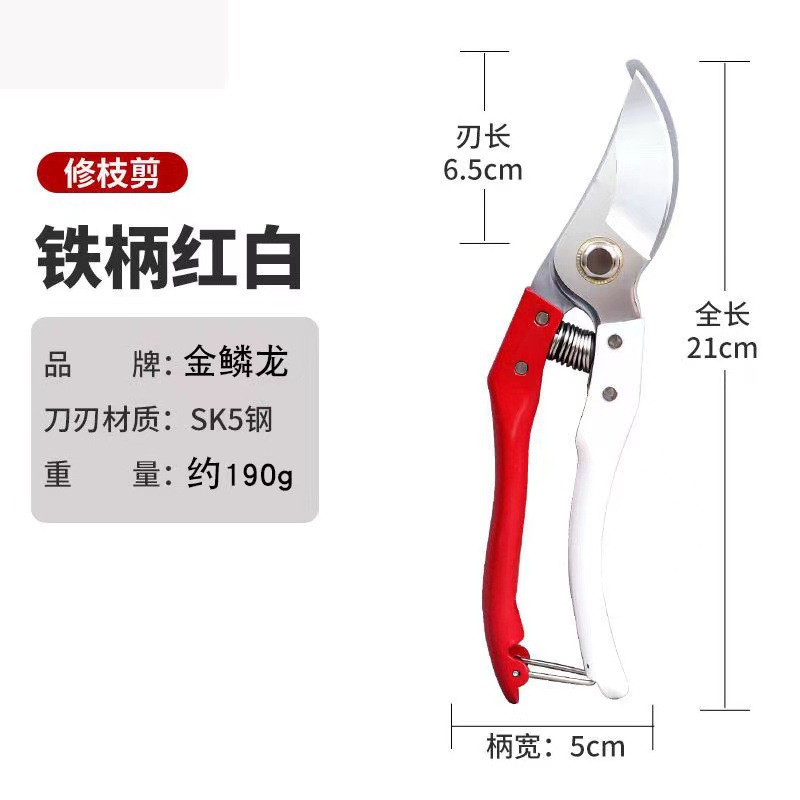 微信图片_20240526200101