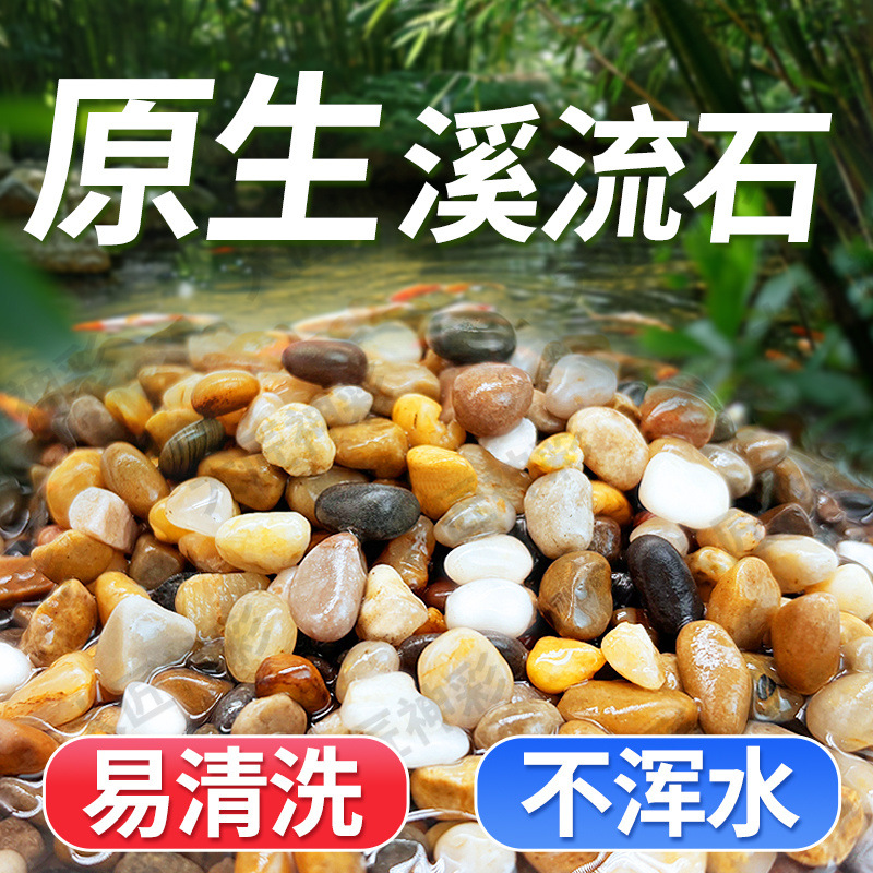 4a014dd3-2021-40d3-9939-7ac8f4b1a1a0.jpe