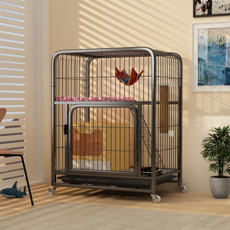 44e09515-e623-4db6-bb41-d45ffe608890.jpe