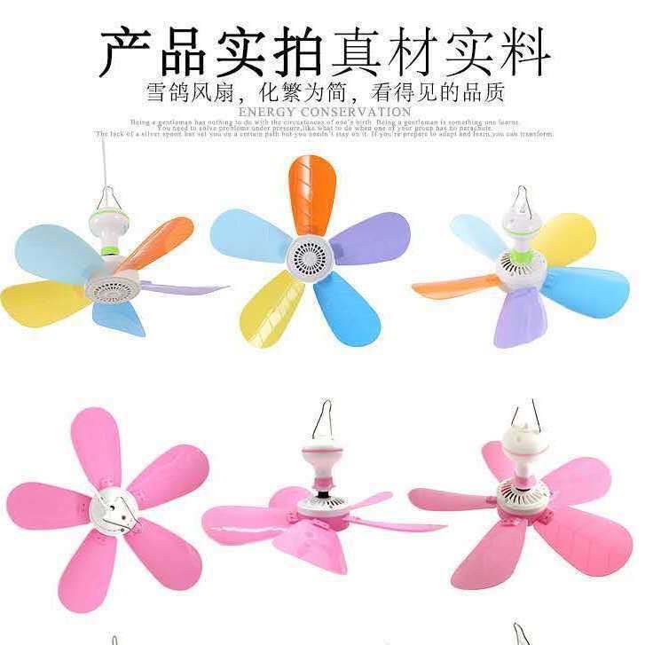 08b5ed1a-857a-4bbf-adc5-6ff742c4fcd7.jpe