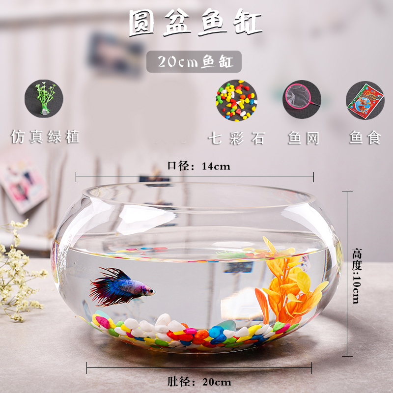 O1CN01WOve6D1wyie9DrvT8_!!2209931286377.