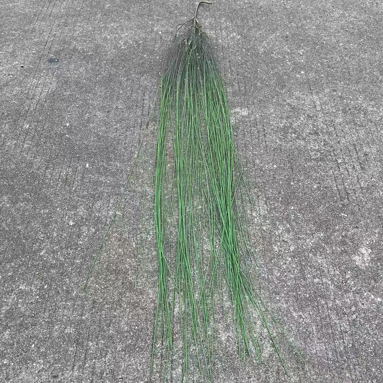 微信图片_20220819184112