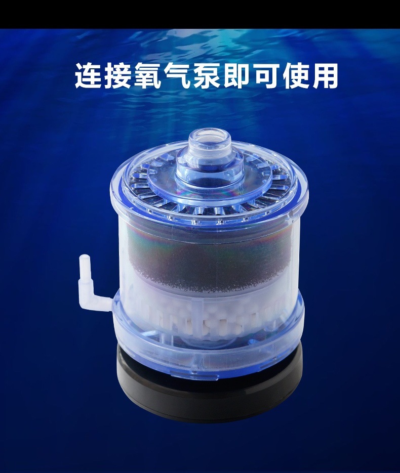 feaa8487-dcde-4940-a9ba-1b777f7e0d8f.jpe